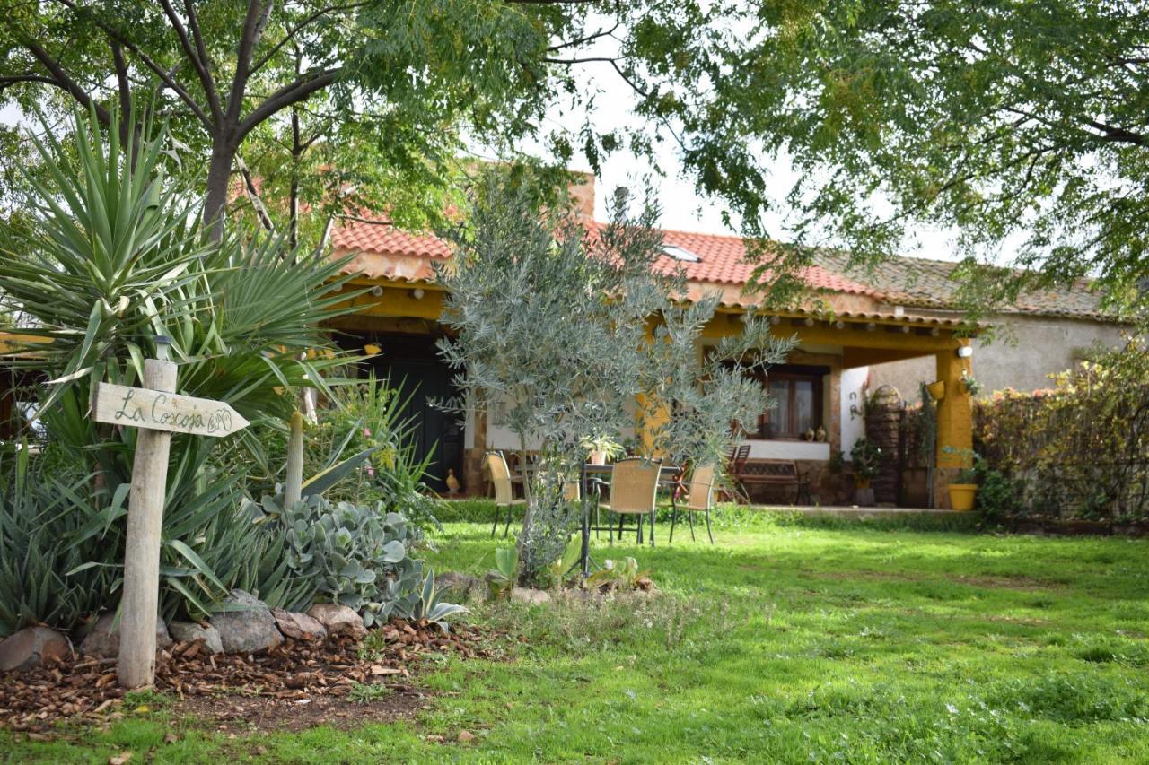 Casa Rural La Coscoja Мерида Экстерьер фото